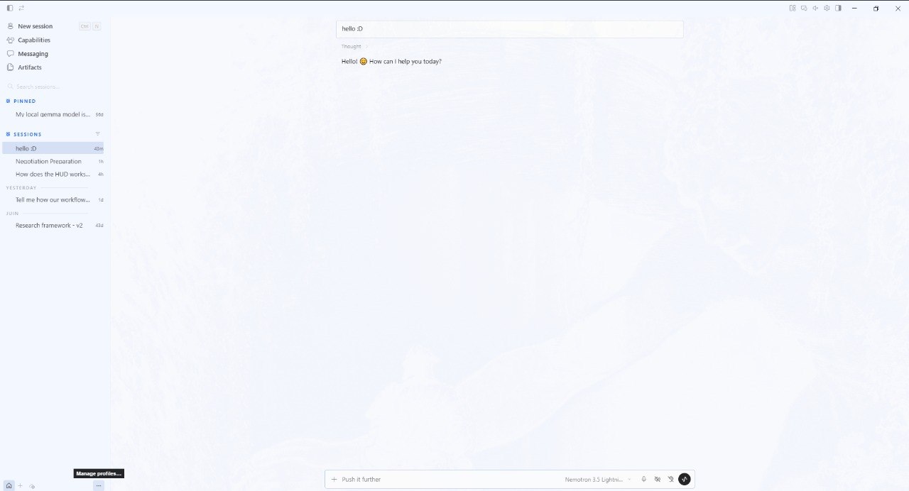 La fenêtre de chat Hermes, infobulle « Manage profiles… » au-dessus du bouton de profil, en bas à gauche de la barre des sessions.